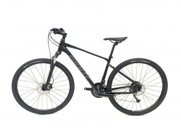 Mountain Bike Giant Roam 2