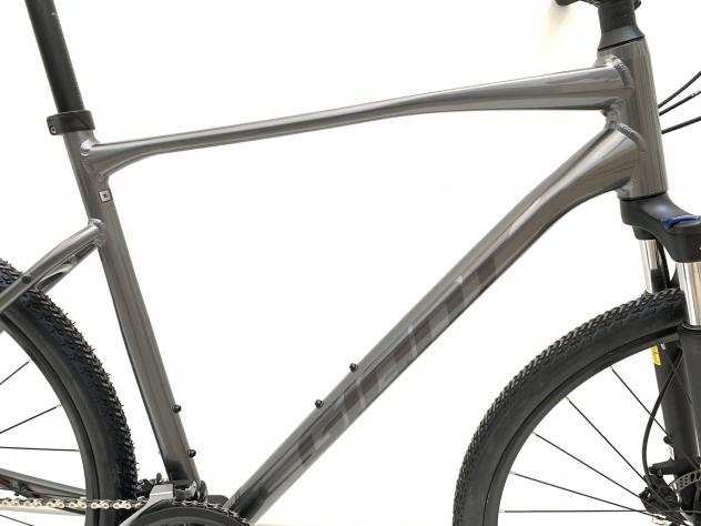 Mountain Bike Giant Roam 2