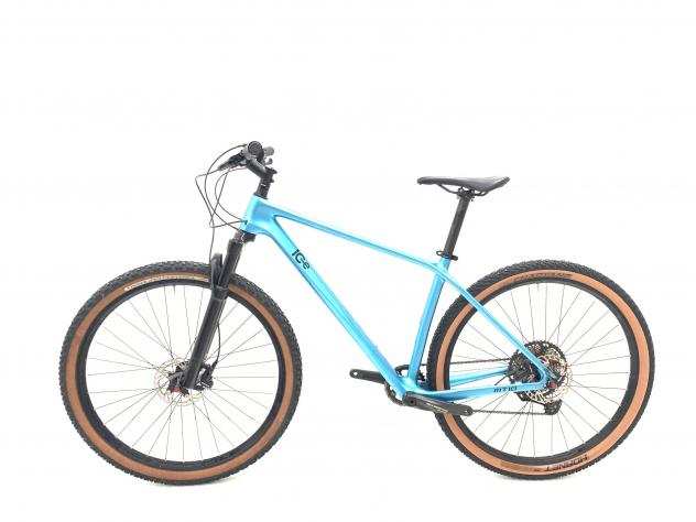 Mountain Bike Ice MT 10 Carbonio