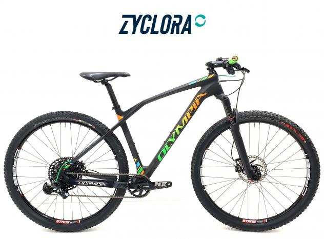 Mountain Bike Olympia Iron carbonio