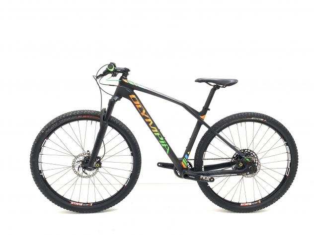 Mountain Bike Olympia Iron carbonio