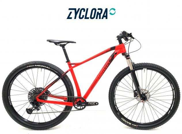 Mountain Bike Wilier X101 carbonio