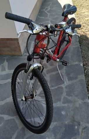 Mountan Bike - marca Bianchi