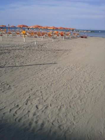 negozio lungomare rimini nord