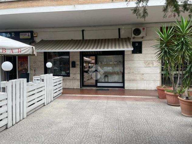 negozio Via Carlo Pirzio Biroli, CIAMPINO