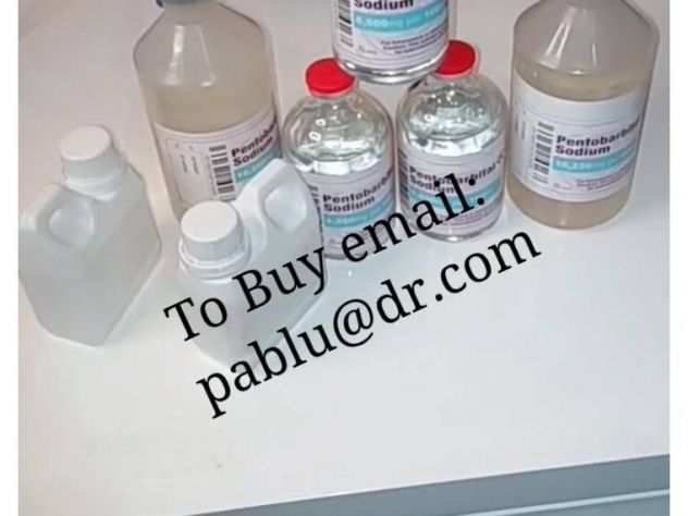 Nembutal sodico in vendita email Pabludr.com