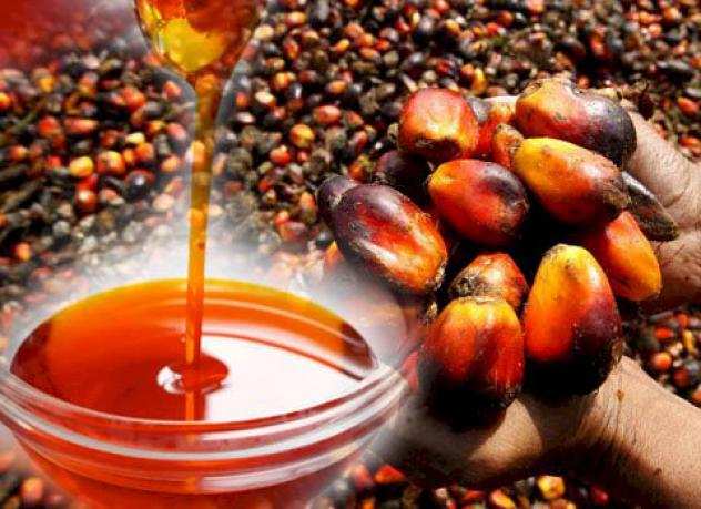 Olio di palma e olio di girasole