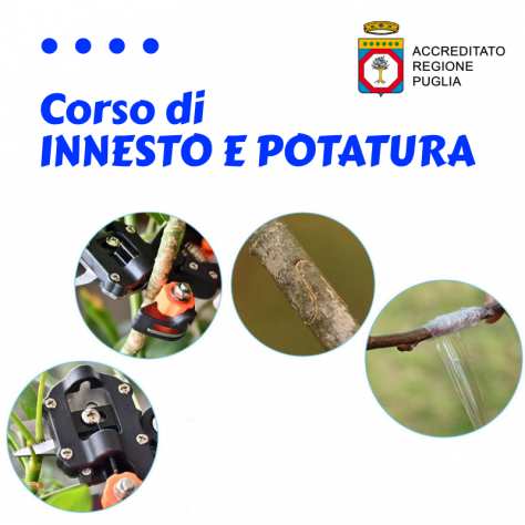 OPERATORE INNESTO E POTATURA