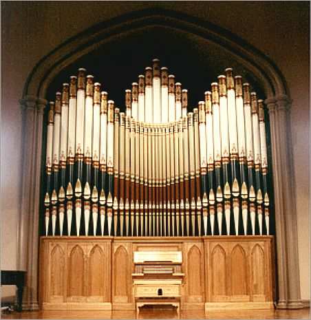 Organista