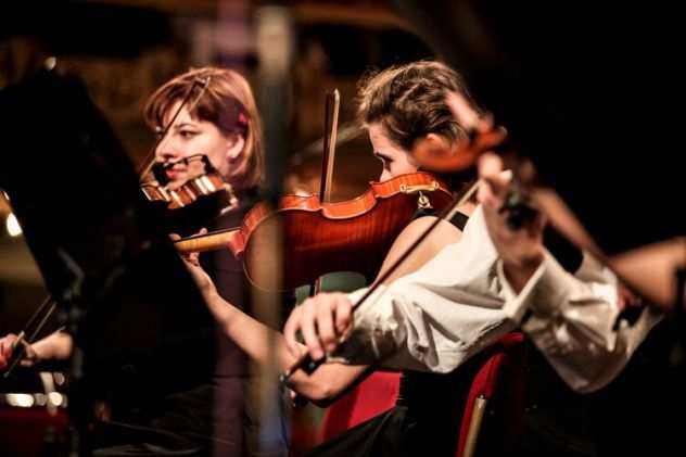 Organista e violinista a Piacenza