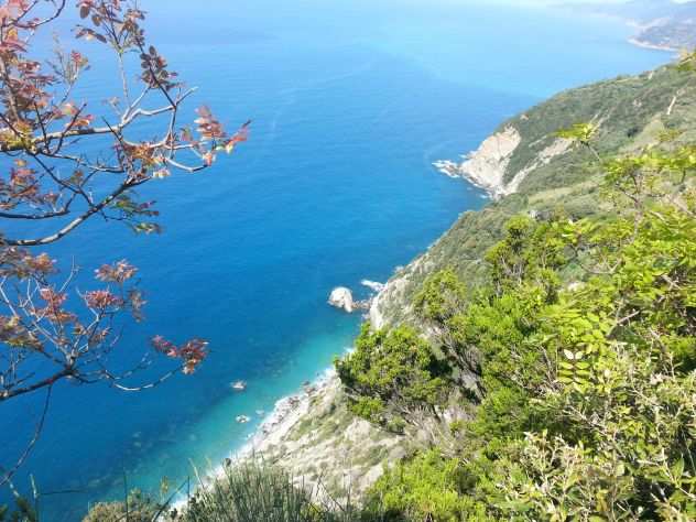 Organizzo escursioni gratuite in Liguria a responsabilita individuale