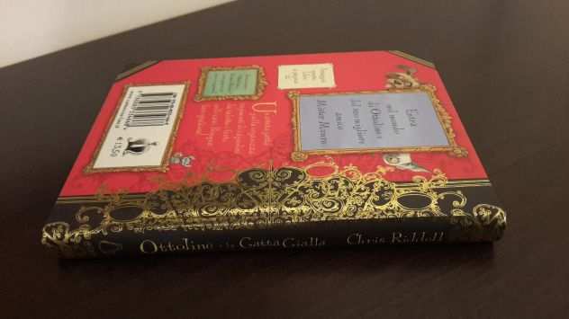Ottoline e la Gatta Gialla, Chris RIDDELL, Editore il castoro, 1 Edizione 2008.