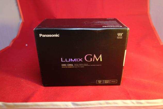 Panasonic DMC-GM5 con 12-32 stabilizzato