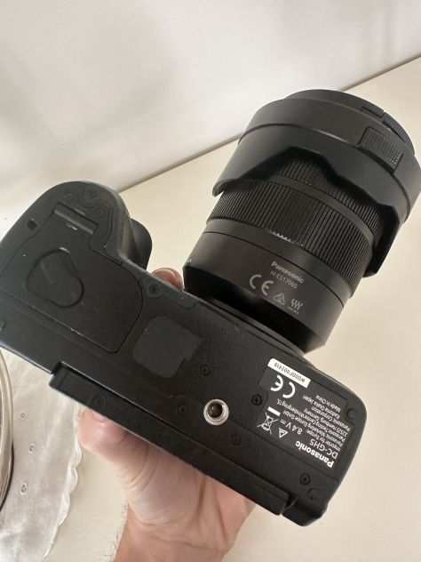 Panasonic Lumix GH5  Leica DG Vario-Elmarit 12-60mm f2.8-4 Power O.I.S.