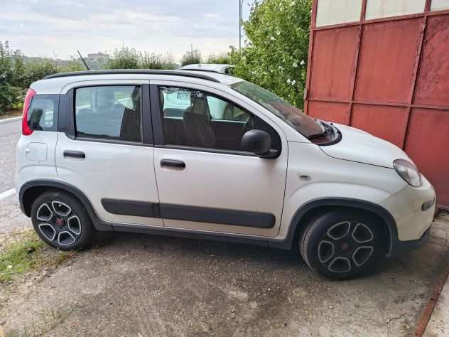 Panda Hybrid usata pochissimo