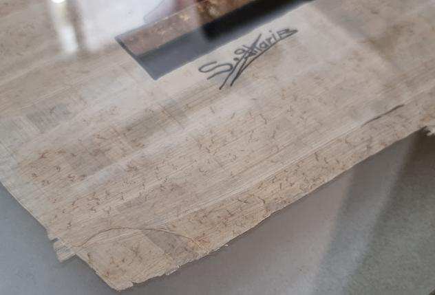 Papiro egiziano originale dellartista S. Gharib