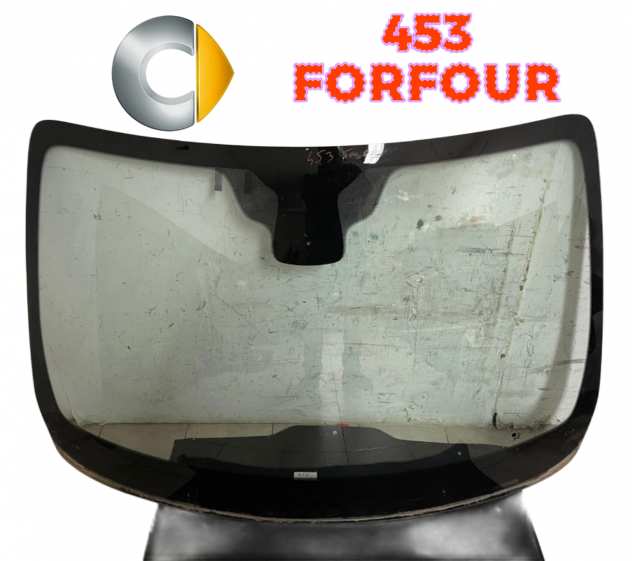 PARABREZZA ANTERIORE SMART Forfour 453 (14)