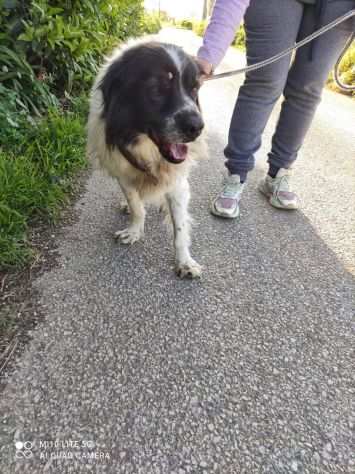 PASQUALINO, 16 ANNI, VEDE POCO DA UN OCCHIO