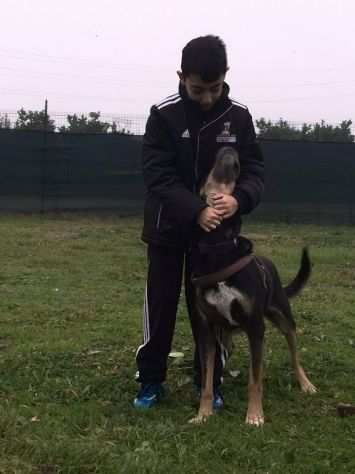 PATRICK, cagnolino coccolosissimo dalla vita incredibile