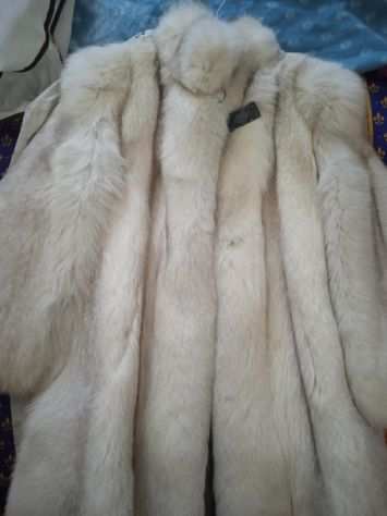 pelliccia di volpe bianca