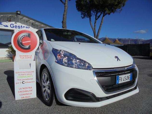 Peugeot 208 Active VAN AUTOCARRO 2 POSTI