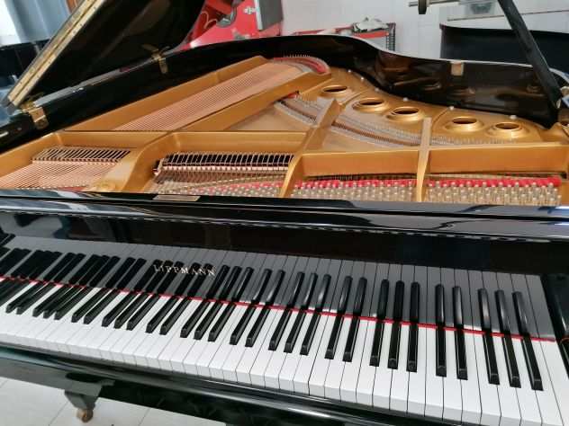 pianoforte 12 coda