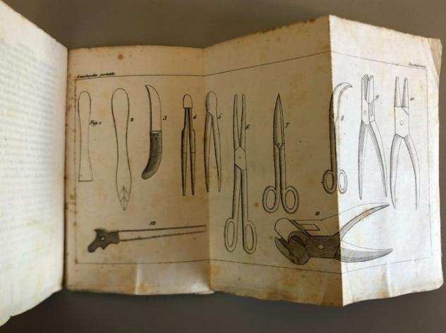 Pierre Boitard - Compendio di Tassidermia o manuale del naturalista - 1834