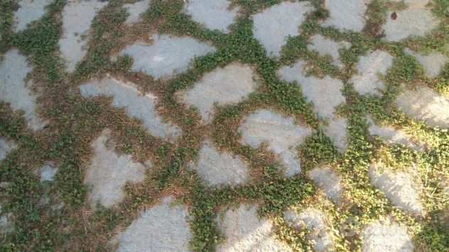Pietra di Luserna per pavimentazione esterna