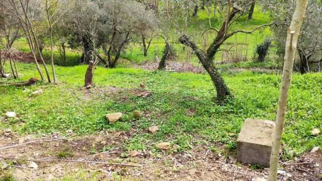 Pistoia pressi vendita grande complesso colonico con terreno