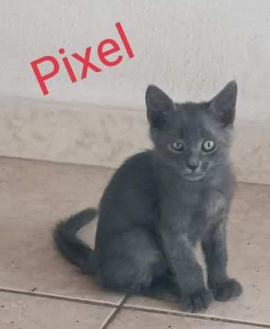 Pixel