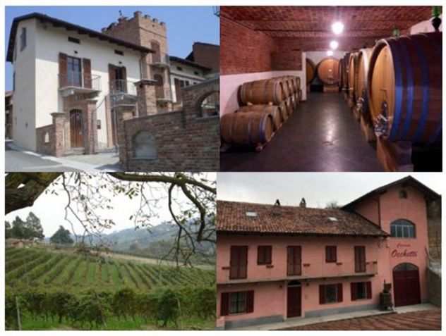 PODERI MORETTI visita guidata e degustazione pregiati vini di Alba Langhe Roero
