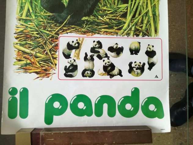 POSTER IL PANDA