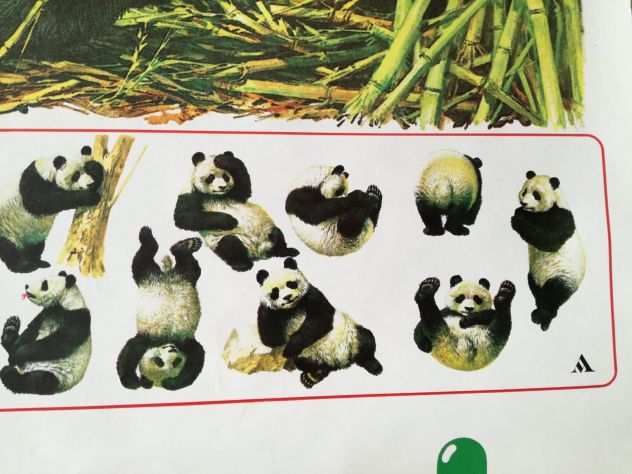 POSTER IL PANDA