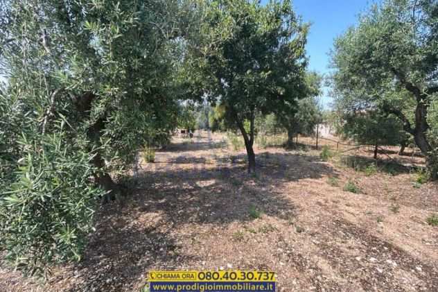 Pratico terreno agricolo in vendita a Bisceglie