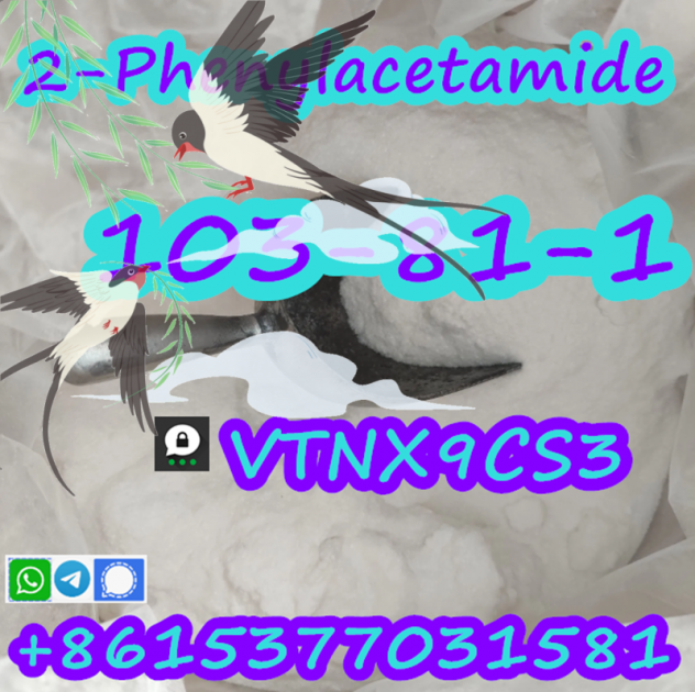 Professional Product 2-Phenylacetamide CAS 103-81-1 with Good Price