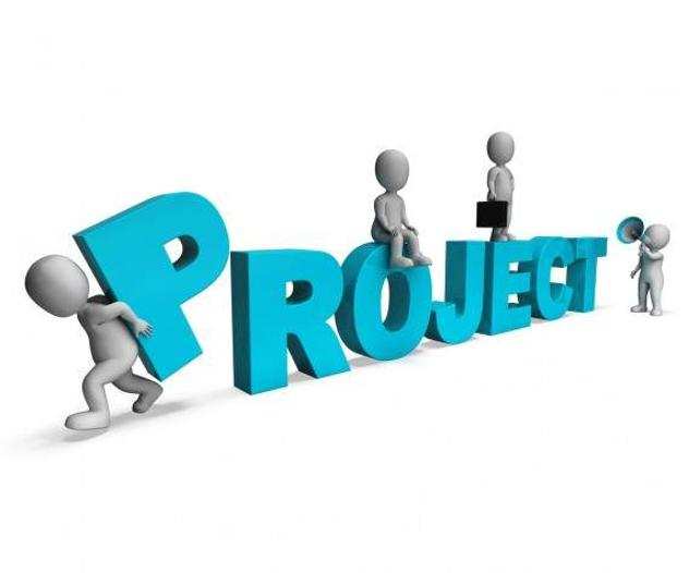 Project manager