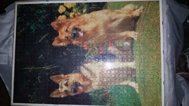 Puzzle raffigurante due cani 50x70 1000 pz., con cornice