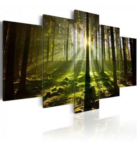 Quadro Con Folti Alberi Verdi 100x50 E 200x100 ARREDALACASA