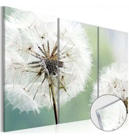 Quadro Con Un Fiore Bianco Cm.60x40 O 120x80 Vetro Acrilico