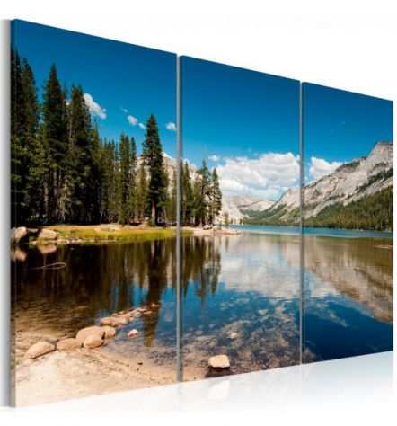 Quadro Lago Di Montagna ARREDALACASA