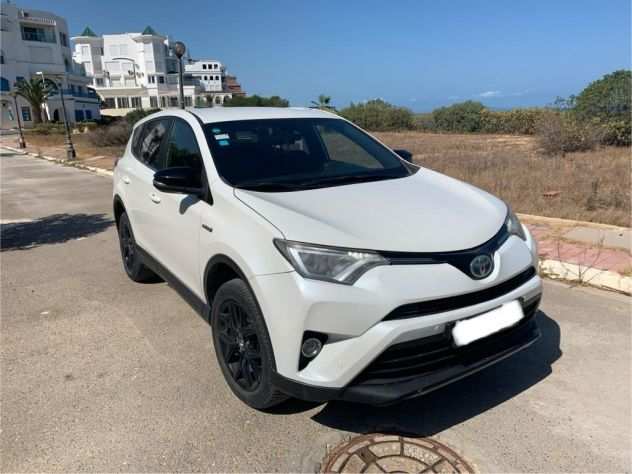 Rav 4 Ibrida 2018