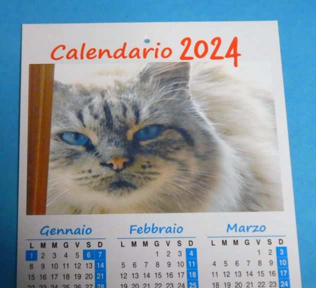 REGALO - Calendario 2024 con i gatti
