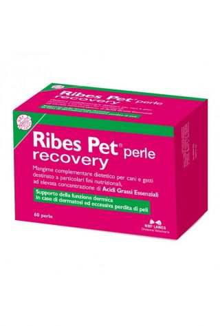 ribes pet