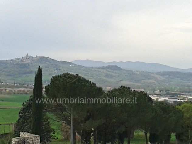 Rif. 438 terreno edificabile panoramico su Todi  progetto  Bucalossi