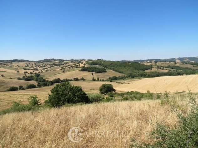 Rif. 7328 Terreno Agricolo a Cinigiano - Toscana