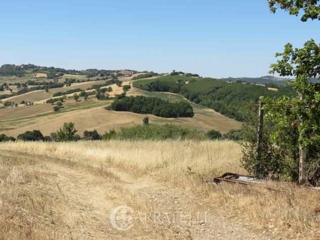 Rif. 7328 Terreno Agricolo a Cinigiano - Toscana