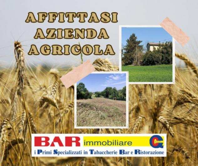 RIF. BOM51124 - Terreno con casolare in affitto a Granarolo dellEmilia