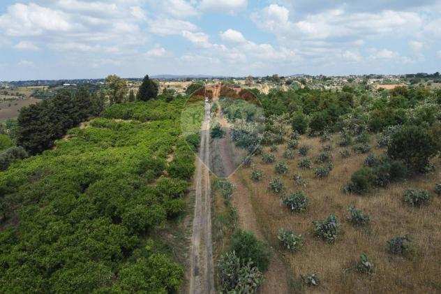 Rif30721399-33 - Terreno Agricolo in Vendita a Caltagirone di 36000 mq