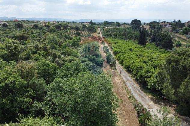 Rif30721399-33 - Terreno Agricolo in Vendita a Caltagirone di 36000 mq