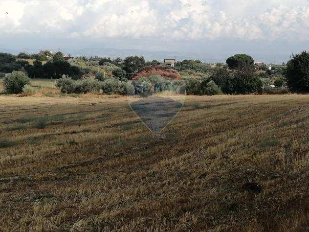 Rif30721432-33 - Terreno Agricolo in Vendita a Caltagirone di 20000 mq